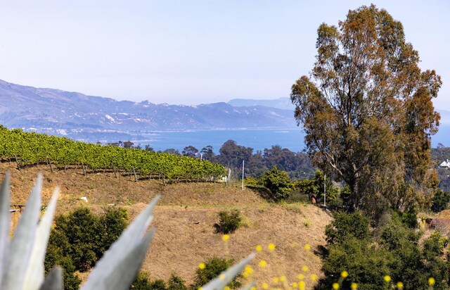 930 W Mountain Dr, Santa Barbara, CA 93103 - photo 9