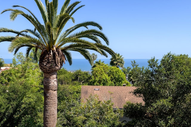 1235 Mission Ridge Rd, Santa Barbara, CA 93103 - photo 24