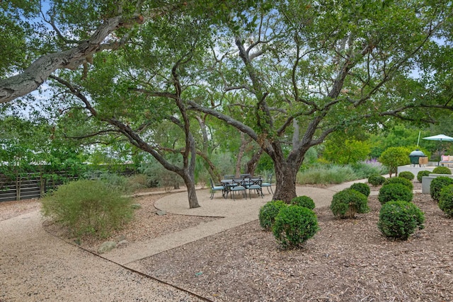 2641 Dorking Pl, Santa Barbara, CA 93105 - view of yard with a patio area