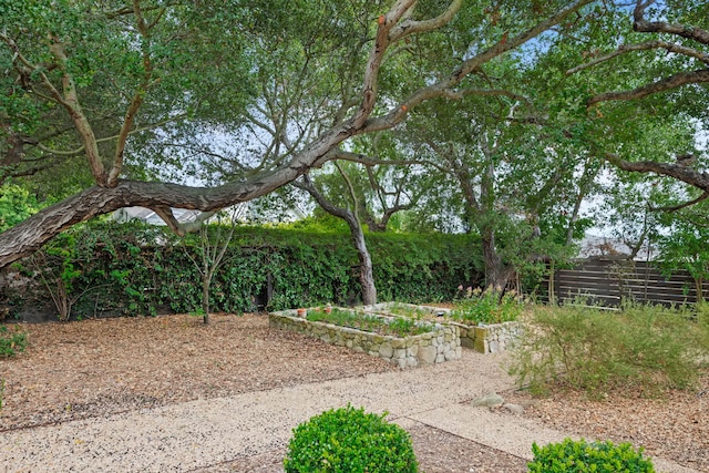 2641 Dorking Pl, Santa Barbara, CA 93105 - view of yard with a vegetable garden