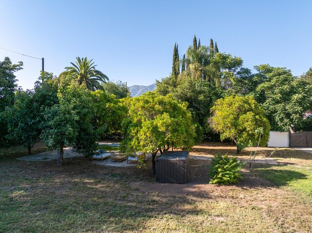 205 S Lomita Ave, Ojai, CA 93023 - view of green lawn