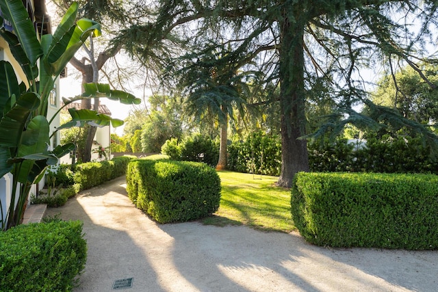 205 S Lomita Ave, Ojai, CA 93023 - surrounding community