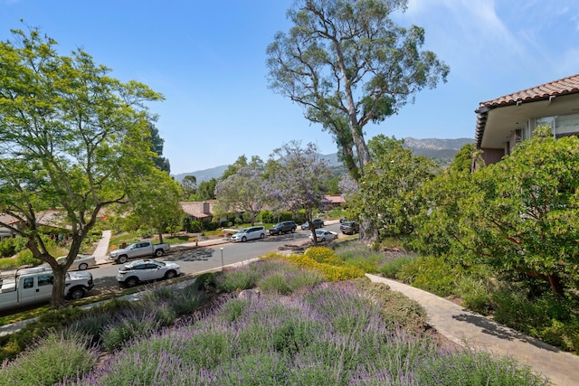 2727 Miradero Dr Unit 209, Santa Barbara, CA 93105 - view of yard featuring a mountain view