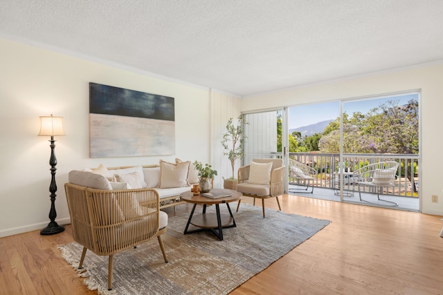 2727 Miradero Dr Unit 209, Santa Barbara, CA 93105 - living room featuring crown molding, a mountain view, wood finished floors, and a textured ceiling