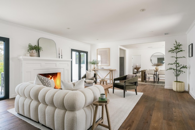 251 Cloydon Cir, Montecito, CA 93108 - living area with a lit fireplace, dark wood-style floors, and crown molding
