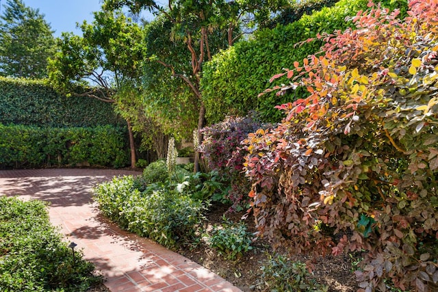 5319 Orchard Park Ln, Santa Barbara, CA 93111 - photo 28