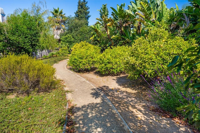 5319 Orchard Park Ln, Santa Barbara, CA 93111 - photo 36