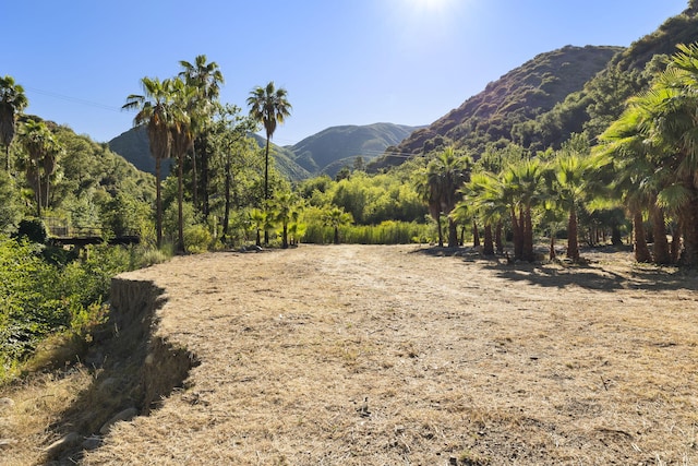 16825 Maricopa Hwy, Ojai, CA 93023 - photo 25