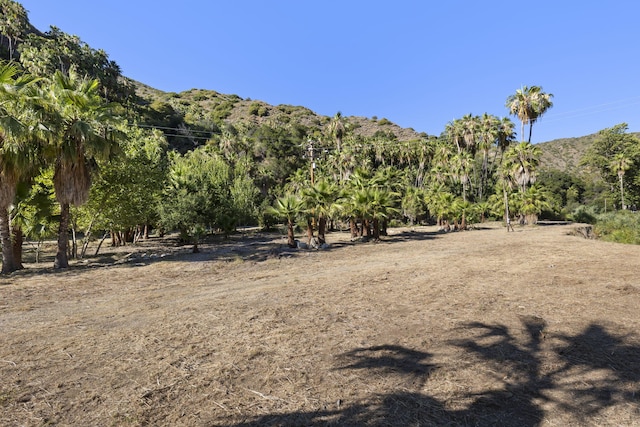 16825 Maricopa Hwy, Ojai, CA 93023 - photo 26