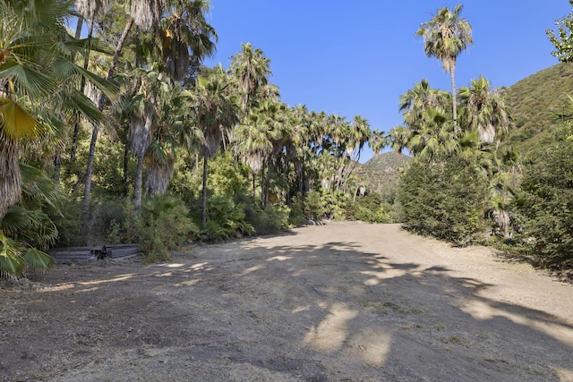 16825 Maricopa Hwy, Ojai, CA 93023 - photo 30