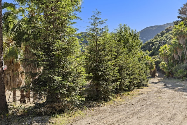 16825 Maricopa Hwy, Ojai, CA 93023 - photo 31