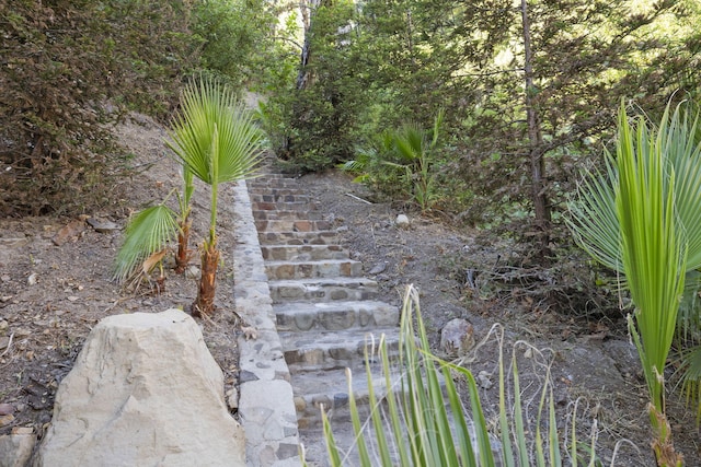 16825 Maricopa Hwy, Ojai, CA 93023 - photo 5