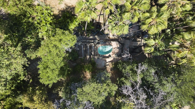 16825 Maricopa Hwy, Ojai, CA 93023 - photo 38