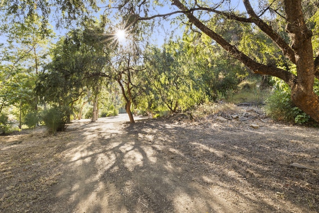 16825 Maricopa Hwy, Ojai, CA 93023 - photo 15