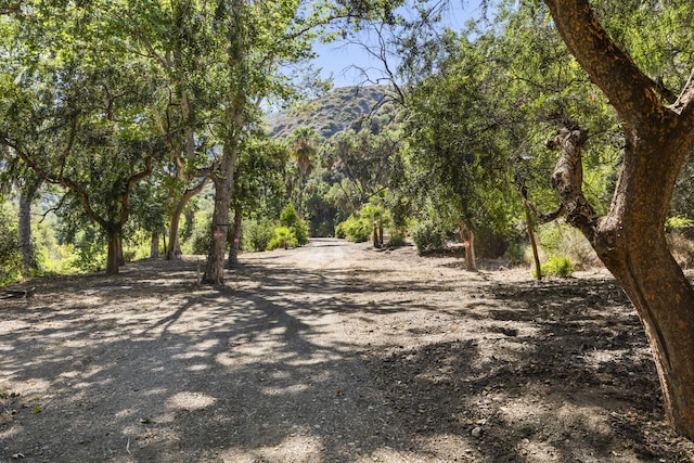 16825 Maricopa Hwy, Ojai, CA 93023 - photo 14