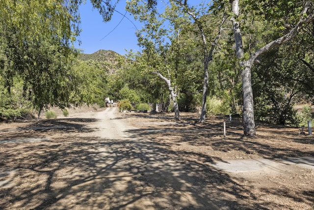 16825 Maricopa Hwy, Ojai, CA 93023 - photo 16