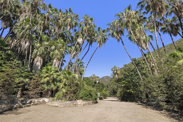 16825 Maricopa Hwy, Ojai, CA 93023 - photo 44