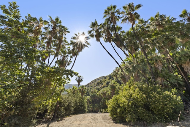 16825 Maricopa Hwy, Ojai, CA 93023 - photo 45