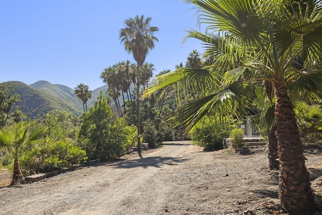 16825 Maricopa Hwy, Ojai, CA 93023 - photo 49