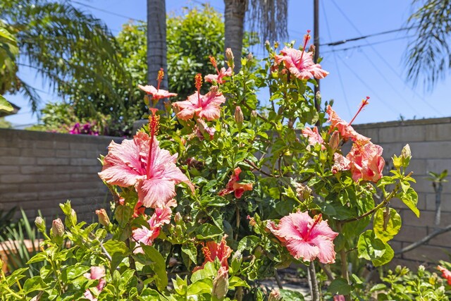 612 Mayrum St, Santa Barbara, CA 93111 - photo 39