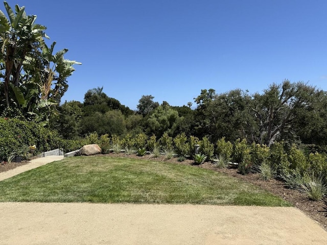 19 W Quinto St, Santa Barbara, CA 93105 - view of grassy yard