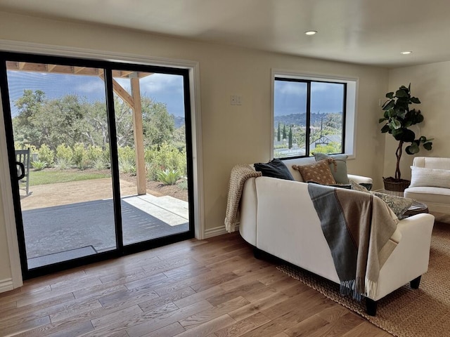19 W Quinto St, Santa Barbara, CA 93105 - living room featuring light wood-type flooring and recessed lighting
