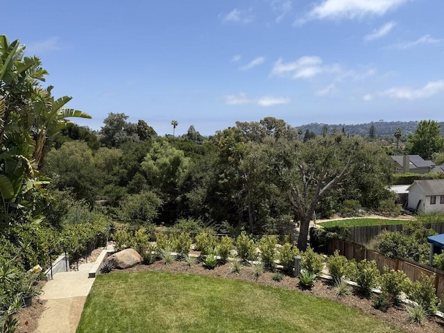 19 W Quinto St, Santa Barbara, CA 93105 - view of yard