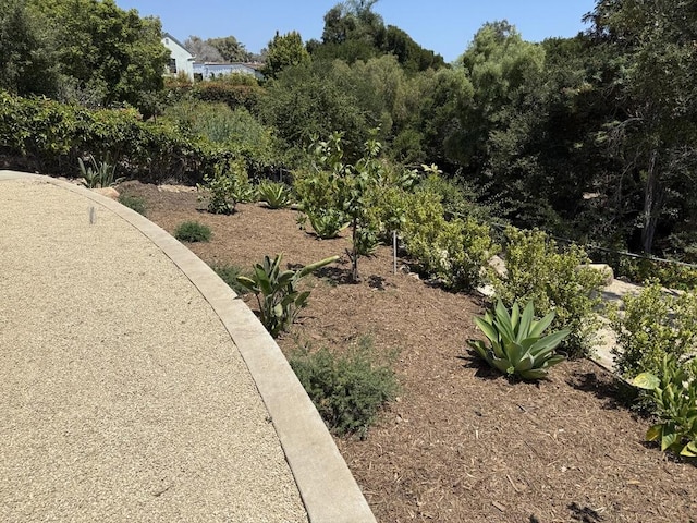 19 W Quinto St, Santa Barbara, CA 93105 - view of yard
