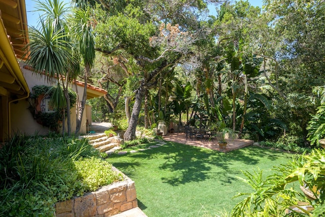 601 San Ysidro Rd, Santa Barbara, CA 93108 - view of grassy yard featuring a patio