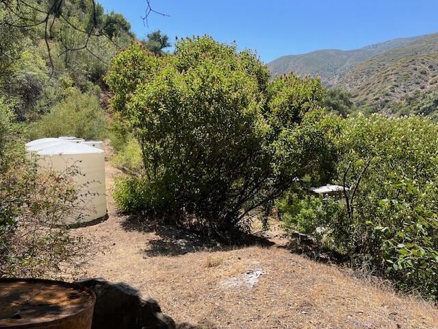 16840 Maricopa Hwy, Ojai, CA 93023 - photo 9