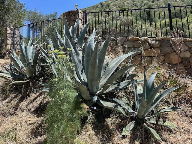 16840 Maricopa Hwy, Ojai, CA 93023 - photo 17