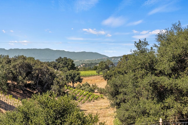 1642 Alamo Pintado Rd, Solvang, CA 93463 - photo 2