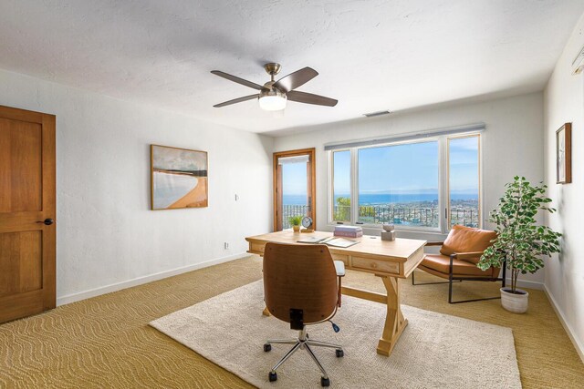 1018 Roble Ln, Santa Barbara, CA 93103 - photo 13