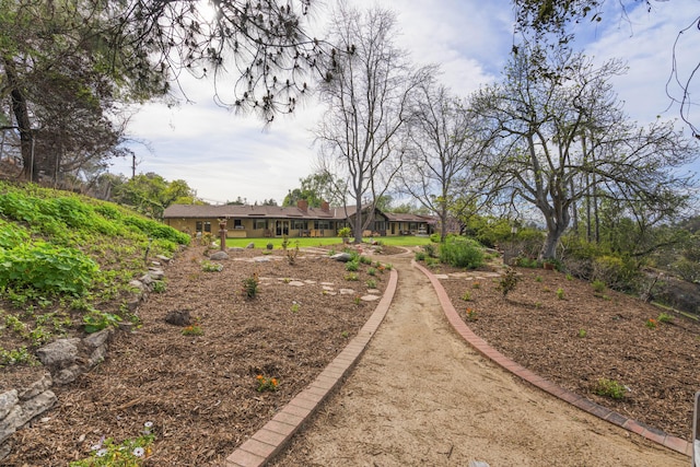 230 Avocado Pl, Camarillo, CA 93010 - view of yard