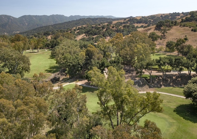 671 Rincon Dr, Solvang, CA 93463 - photo 23