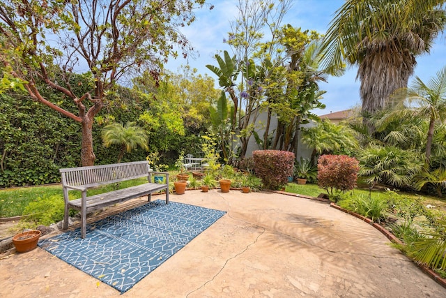 15 W Padre St, Santa Barbara, CA 93105 - photo 19