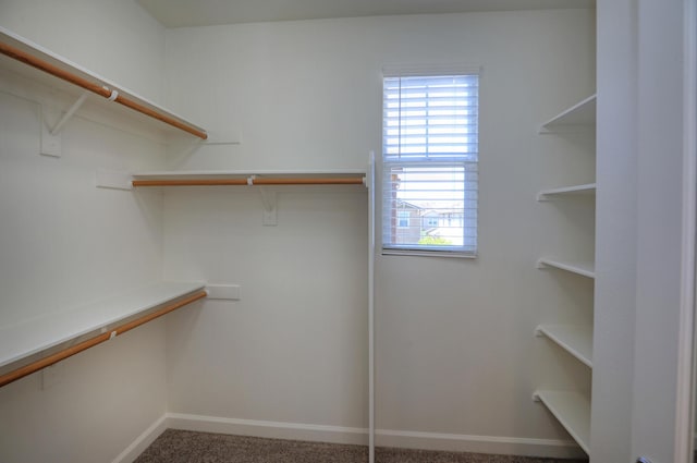 6628 Sand Castle Pl Unit C-7, Goleta, CA 93117 - walk in closet with carpet