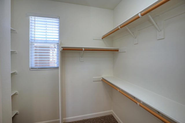 6628 Sand Castle Pl Unit C-7, Goleta, CA 93117 - view of spacious closet