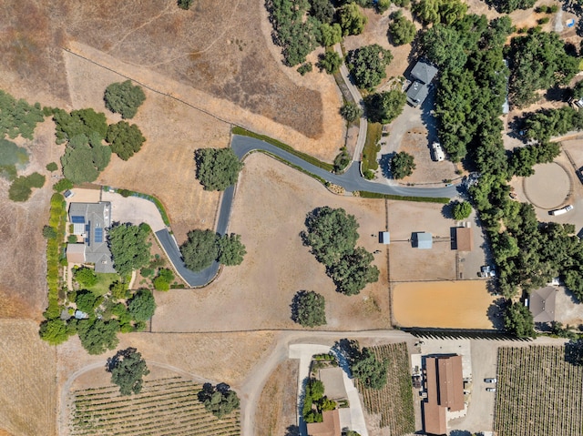 2279 Alamo Pintado Rd, Solvang, CA 93463 - photo 50