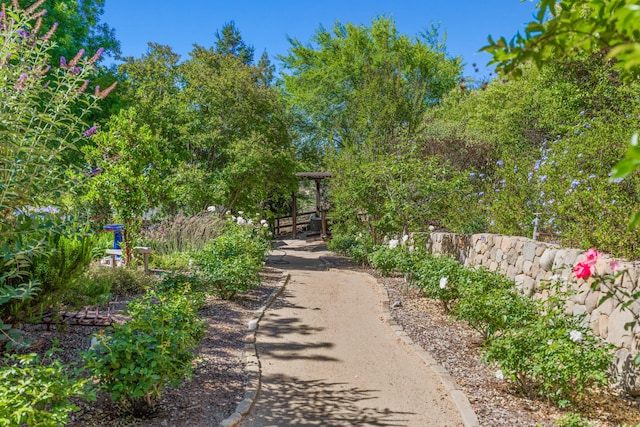 2279 Alamo Pintado Rd, Solvang, CA 93463 - photo 33