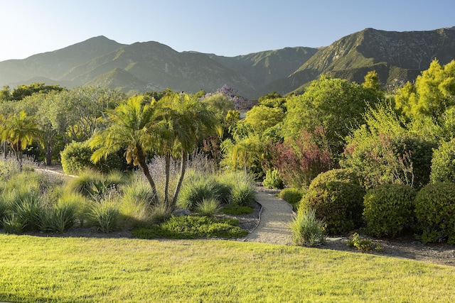 311 Meadowbrook Dr, Montecito, CA 93108 - photo 7