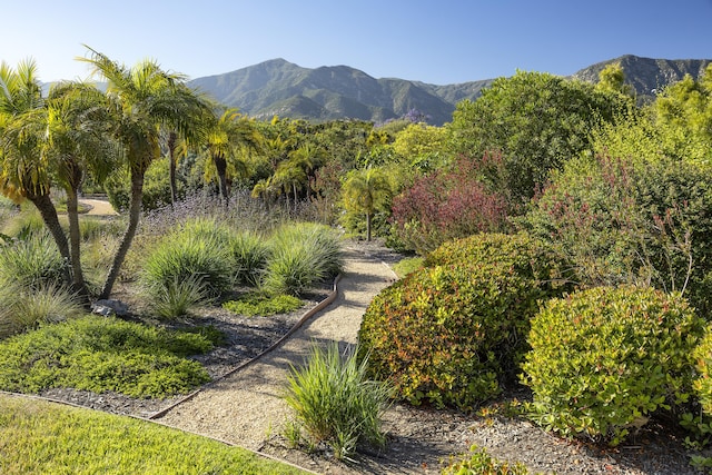 311 Meadowbrook Dr, Montecito, CA 93108 - photo 12