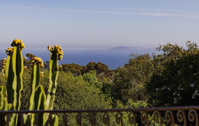 1439 Tunnel Rd, Santa Barbara, CA 93105 - mountain view