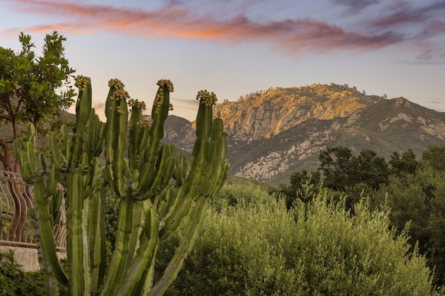 1439 Tunnel Rd, Santa Barbara, CA 93105 - view of mountain backdrop