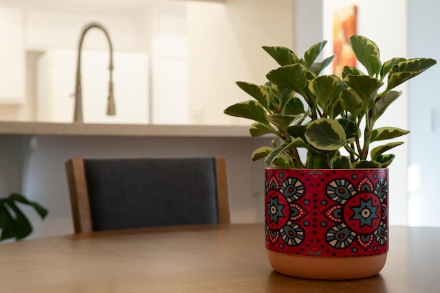 521 W Montecito St Unit 4, Santa Barbara, CA 93101 - detailed view