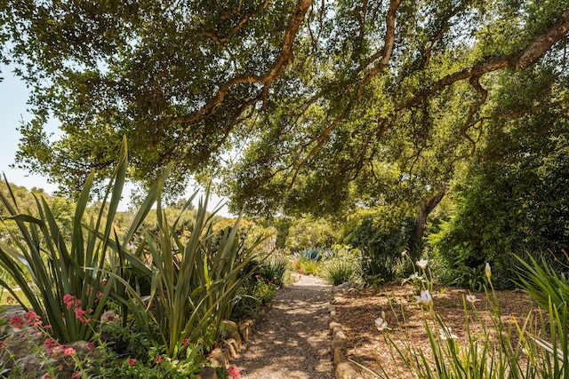 663 Lilac Dr, Montecito, CA 93108 - photo 25
