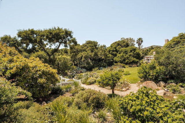 663 Lilac Dr, Montecito, CA 93108 - photo 24