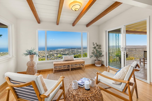 1227 Viscaino Rd, Santa Barbara, CA 93103 - photo 8