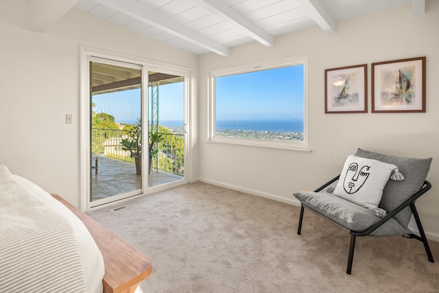 1227 Viscaino Rd, Santa Barbara, CA 93103 - photo 15