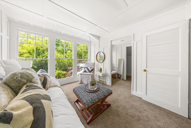 513 E Pedregosa St, Santa Barbara, CA 93103 - photo 34